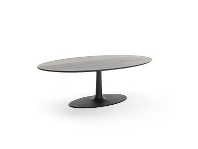 Modern Oval Dining Table With Smooth Wooden Top and Black Pedestal Base in Sleek Style 3d model