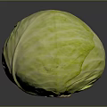 Fresh Green Round Cabbage Healthy Vegetable With Vibrant Color And Texture