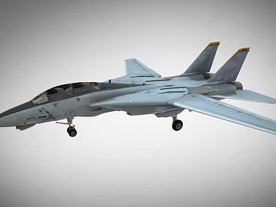 F14 Tomcat Fighter World War II Aircraft MiG Phantom Fighter US Fighter Low Face Number Low Model Simple Model Game Movie Level Super Realistic 3d model
