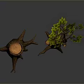 Tree with Green Leaves and Brown Trunk Beside Tree Stump with Roots