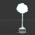 Indoor Decorative Tree With Rounded Canopy And Slender Trunk In White Patterned Pot