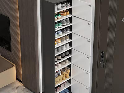 Modern Multilayer Shoe Rack Storage Organizer with Drawers Holding Various Shoes for Home 3d model