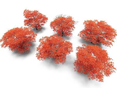Six Lush Trees with Vibrant Red Leaves Against White Background 3d model