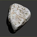 Natural Wood Stone Showing White Brown Speckled Texture And Natural Rough Surface