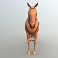 Brown Horse With Saddle And Bridle Standing In Neutral Background