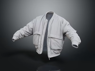 Gray Stand Collar Jacket With Loose Fit Long Sleeves Two Front Pockets And Zipper Closure 3d model
