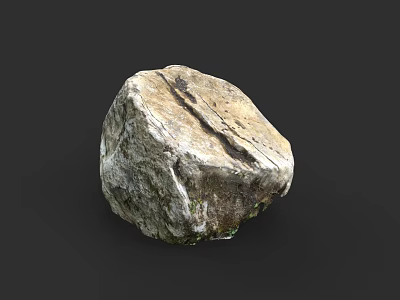 High Quality Natural Wood Stone With Rough Surface And Unique Texture 3d model