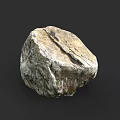 High Quality Natural Wood Stone With Rough Surface And Unique Texture