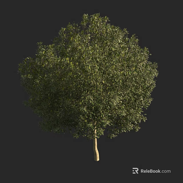 Lush Green Arbor With Dense Foliage And Brown Trunk In Dark Background 3d model