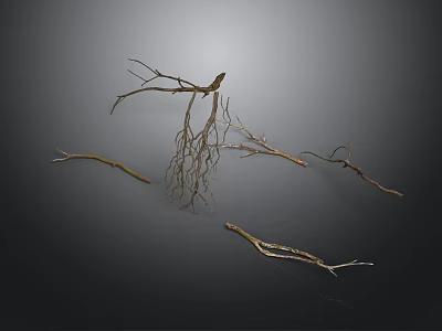 Dry Plant Branches with Exposed Roots on Dark Background 3d model