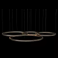 Modern Multiple Circular Ring Chandelier With Illuminated Metal Frame And Soft Glow 3d model