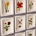 Vintage Botanical Paintings in White Frames Grid Arranged on Gray Wall 3d model