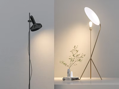 Modern Black And Gold Floor Lamps With White Shade Small Plant And Books 3d model