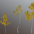 Five Trees with Various Shapes Yellow Leaves and White Trunks Against Gray Background