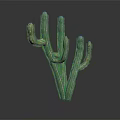 Green Cactus Plant With Multiple Branches Against Dark Background And Reflection 3d model