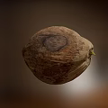 Fresh Ripe Coconut With Natural Brown Beige Texture And Green Sprout