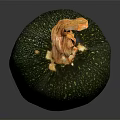 Fresh Ripe Green Zucchini Vegetable With Smooth Skin On Dark Background