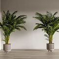 Lush Green Potted Plants in Gray Containers Against White Wall and Wooden Floor