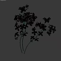 Beautiful Blooming Purple Small Flowers with Green Stems on Dark Background