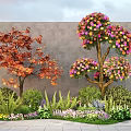 Diverse Plant Combination With Red Leaf Tree Pink Purple Flowering Tree Shrubs And Flowers