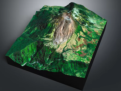 Detailed 3D Terrain Model With Green Vegetation Mountain Peak And Valleys 3d model