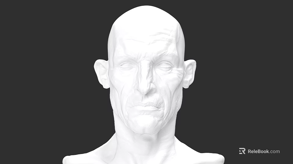 Realistic White Man Head 3D Sculpture Model With Detailed Facial Features 3d model 