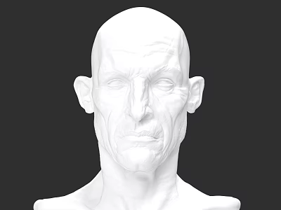 Realistic White Man Head 3D Sculpture Model With Detailed Facial Features 3d model