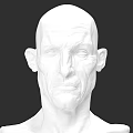 Realistic White Man Head 3D Sculpture Model With Detailed Facial Features