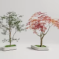 Modern Tree Landscape Tree 3d model