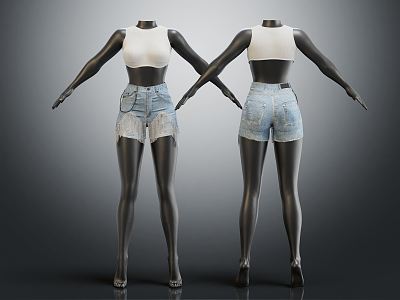 Modern Model Fashion Jeans Ladies Jeans 3d model