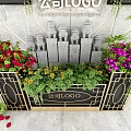 Ornamental Garden Planters With Green Plants Colorful Flowers And Golden Frames