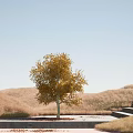 Yellow Leaved Tree as Garden Ornament with Grassland and Steps in Outdoor Area