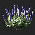 Stunning Purple Flower Cluster With Lush Green Leaves And Fresh Blooms