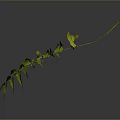 Green Pinnate Plant Leaf With Multiple Leaflets Long Petiole And Red Tip 3d model