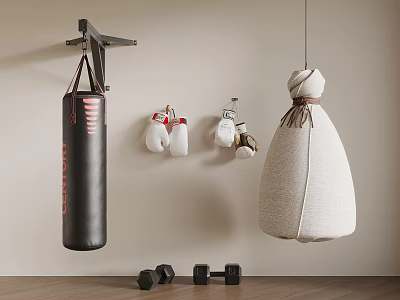 Home Gym Setup With Hanging Punching Bags Boxing Gloves And Dumbbells 3d model