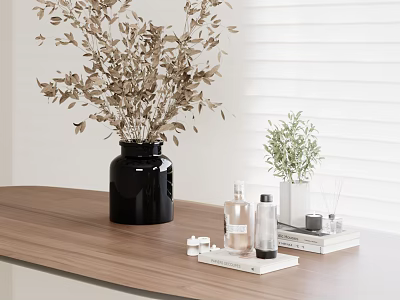 Dried Foliage In Black Vase And Green Plant In Small White Vase On Wooden Table 3d model