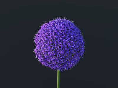 Single Vibrant Purple Spherical Flower with Green Stem on Dark Background 3d model