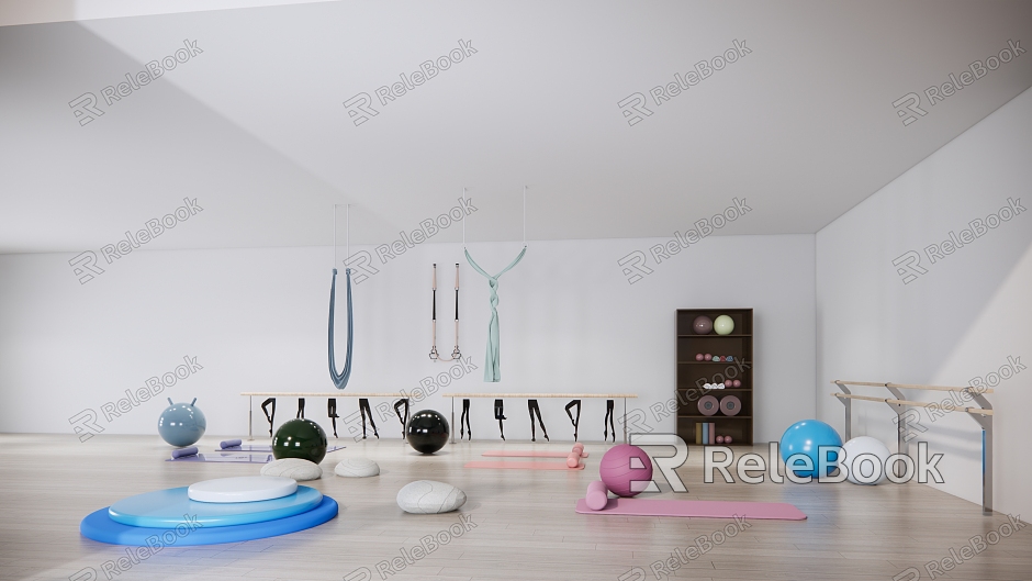 Modern Yoga Equipment Yoga Equipment model