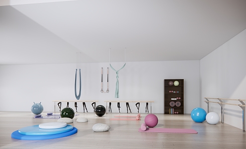 Modern Yoga Equipment Yoga Equipment 3d model