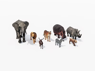 Various Animal Figures Collection Including Elephant Lion Tiger Hippo Rhino Deer Zebra And Bear 3d model