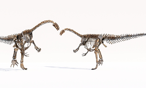 Modern Dinosaur Skeleton 3d model