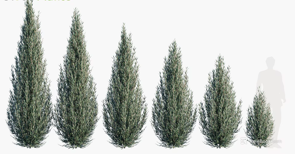 Arbor Trees With Various Sizes And Evergreen Foliage For Landscape Decoration 3d model 