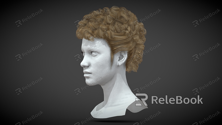 Curly Hair Anime Hair Cartoon Hair Short Hair model