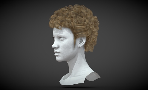 Curly Hair Anime Hair Cartoon Hair Short Hair 3d model