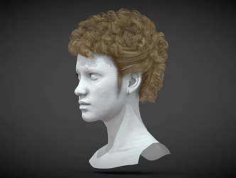 Curly Hair Anime Hair Cartoon Hair Short Hair 3d model