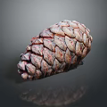 Close Up View Of Natural Pine Cone With Colorful Textured Scales On Dark Background