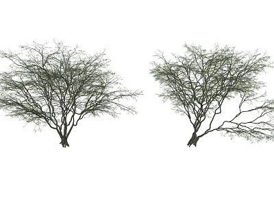 Modern Tree Landscape Tree model