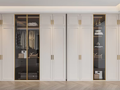 Modern Elegant Wardrobe Design With White Cabinets Glass Doors Gold Hardware And Storage 3d model