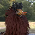 Stuffed Bird with Brown Feathers Crested Head Orange Beak Legs Spread Wings on Grassy Field