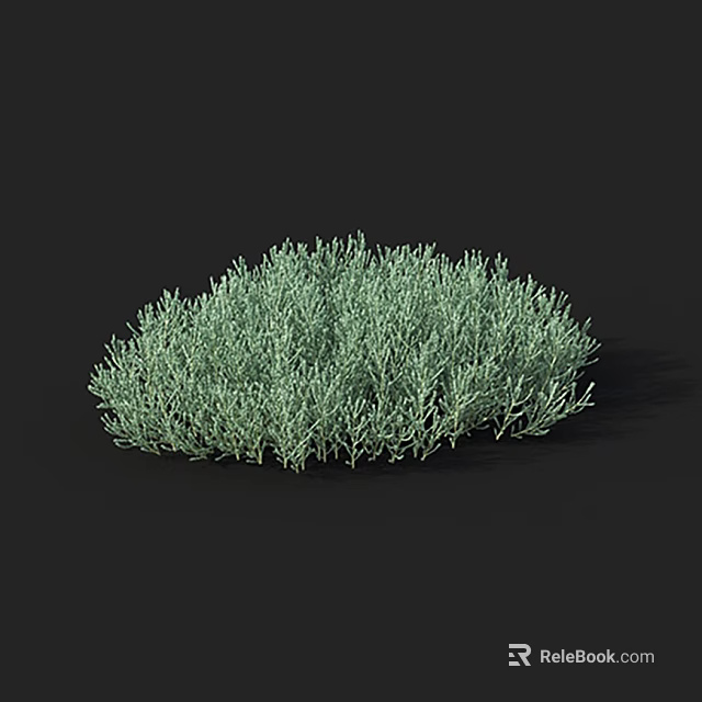 Green Shrub with Round Shape and Dense Foliage Isolated on Black Background 3D Rendering 3d model